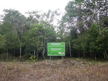 アペン国立公園「木下の森」