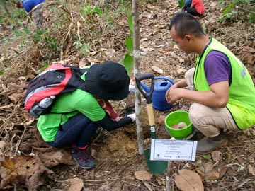 アペン国立公園にて植林を体験